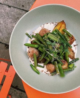 Мітболи індичі