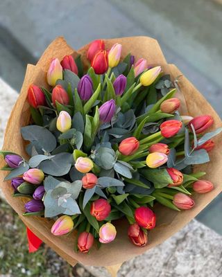 Tulip mania