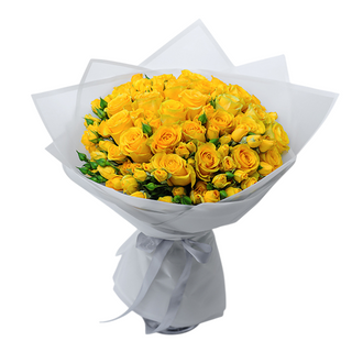 Garden Sunlit Melody