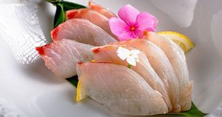 Sashimi di Orata 4pz