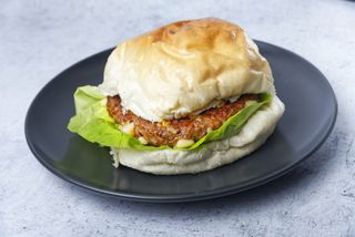 Gurmanska pljeskavica porcija