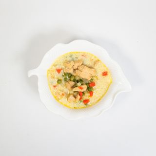 Ragu od piletine i povrća