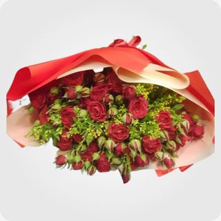 წითელი სპრეი ვარდი