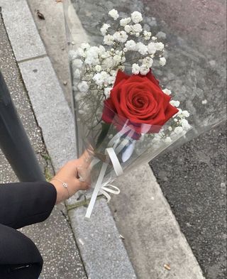 ერთი წითელი ვარდი გიფსოფილათი