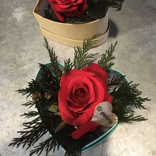 Rosa preservada en caja corazón