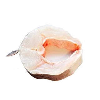 Congrio En Rodajas 1 Kg.