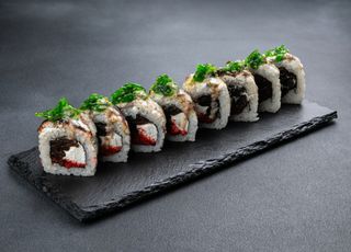 Phila Dragon