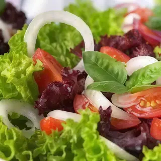 Ensalada Normalito