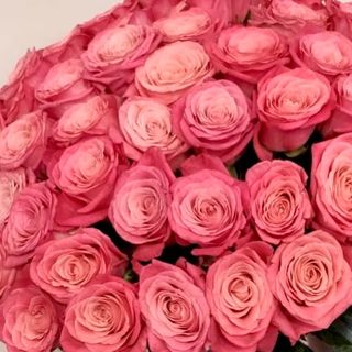 Bukiet z 9 różowych róż z wstążką materiałową 