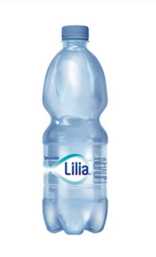 Acqua naturale 50 cl