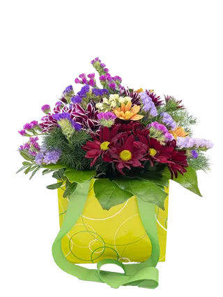 Margaridas de Maio - Saquinho de Flores da época