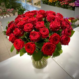 Czerwone róże