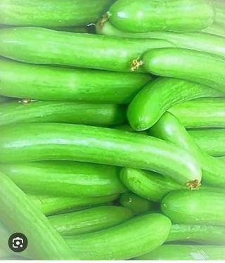 შუშა კიტრი პლანტა 0.500 კგ.