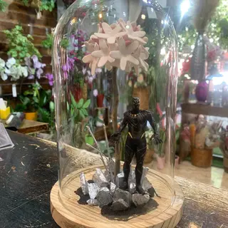 Cúpula con Biznaga y SúperHéroe "Negro"