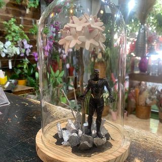 Cúpula con Biznaga y SúperHéroe "Negro"