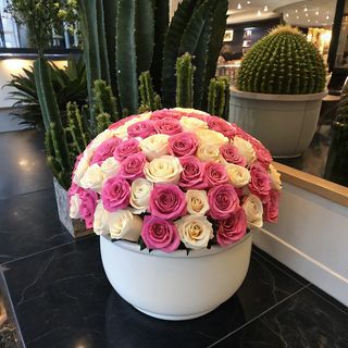 Élégance Luxueuse - 81 Roses Roses Et Blanches