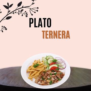 Plato Kebab De Ternera 