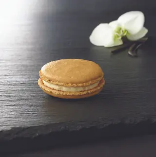 Macaron Vainilla