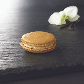 Macaron Vainilla