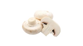 Гриби печериці