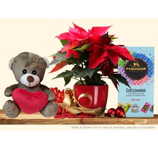 Mini stella con Peluche grande e Cioccolatini