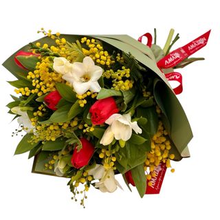 Mimoze, Lalele și Frezii