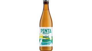 Pinta mini maxi Ipa 0.5 l