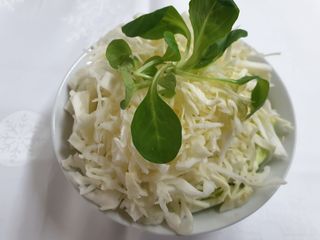 Kupus salata