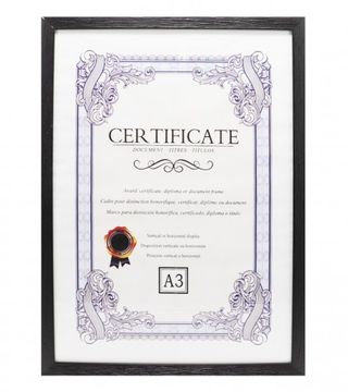 (192870) Ram za sliku A3 01210580