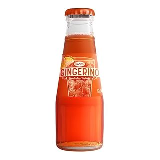 B9 - Gingerino