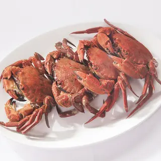 Nécoras gallegas