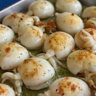 Sepia Enterita (Unidad )