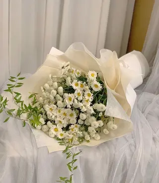 გვირილები და ქრიზანთემა