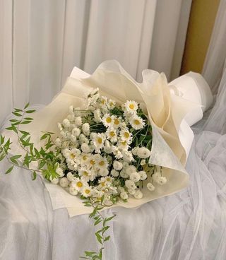 გვირილები და ქრიზანთემა