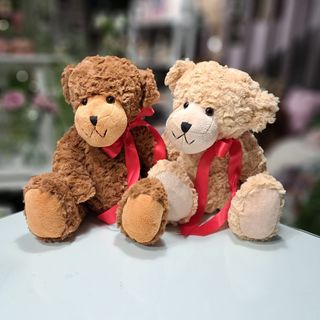 Ursulet Plush Inimioara