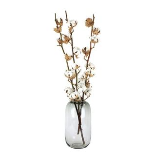 Algodón En Varas, 60Cm