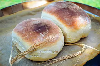 Lepinja