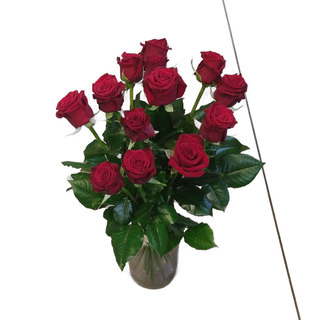 Sama róża 50 cm