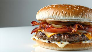 Hamburger vigilante 2.0