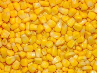 Кукурудза (50g)