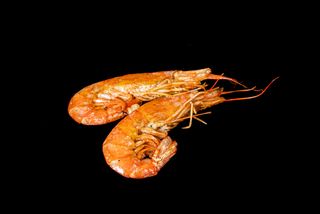 Gamberoni alla Piastra