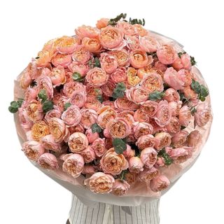 51 Spray Julietta Rosé