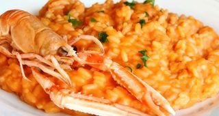 Risotto alla crema di scampi