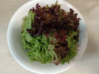 Miks zelenih salata sa rukolom