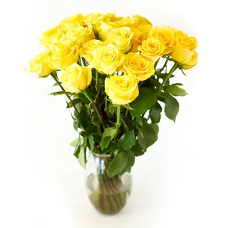 Docena Rosas Amarillas