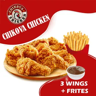 3 wings avec frites