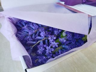 Cutie cu 15 zambile mov