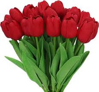 10 Pezzi tulipani rosso