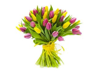 Микс Лалета 51 Бр Жълто И Лилаво