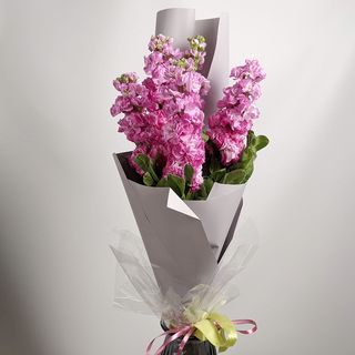 ხუთი ვარდისფერი მატიოლას თაიგული 2226